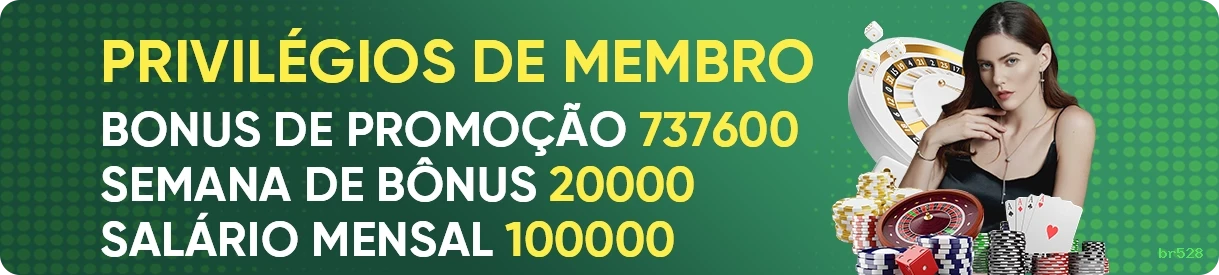 br528